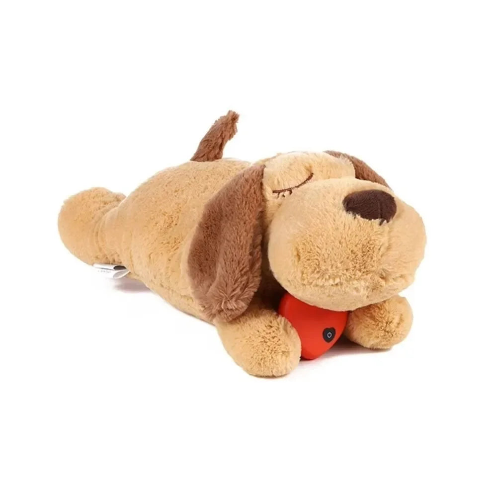 Comfort Companion — Pup