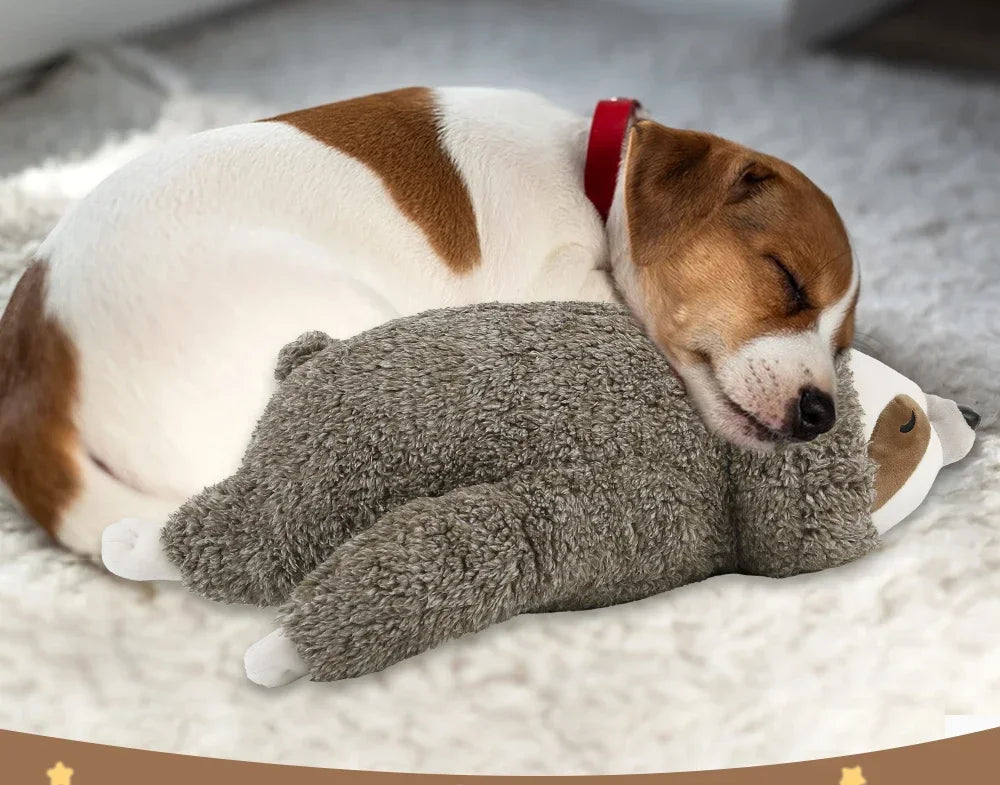 Comfort Companion — Sloth