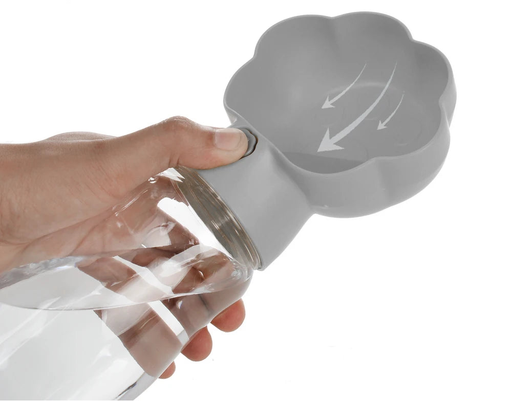 The Adventure Bottle